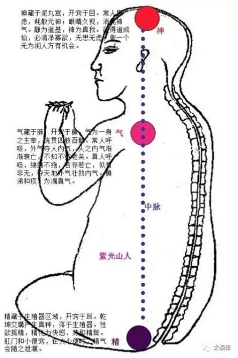 玄關穴|【玄關穴位】直擊玄關穴位奧秘！揭開神秘「第三隻眼。